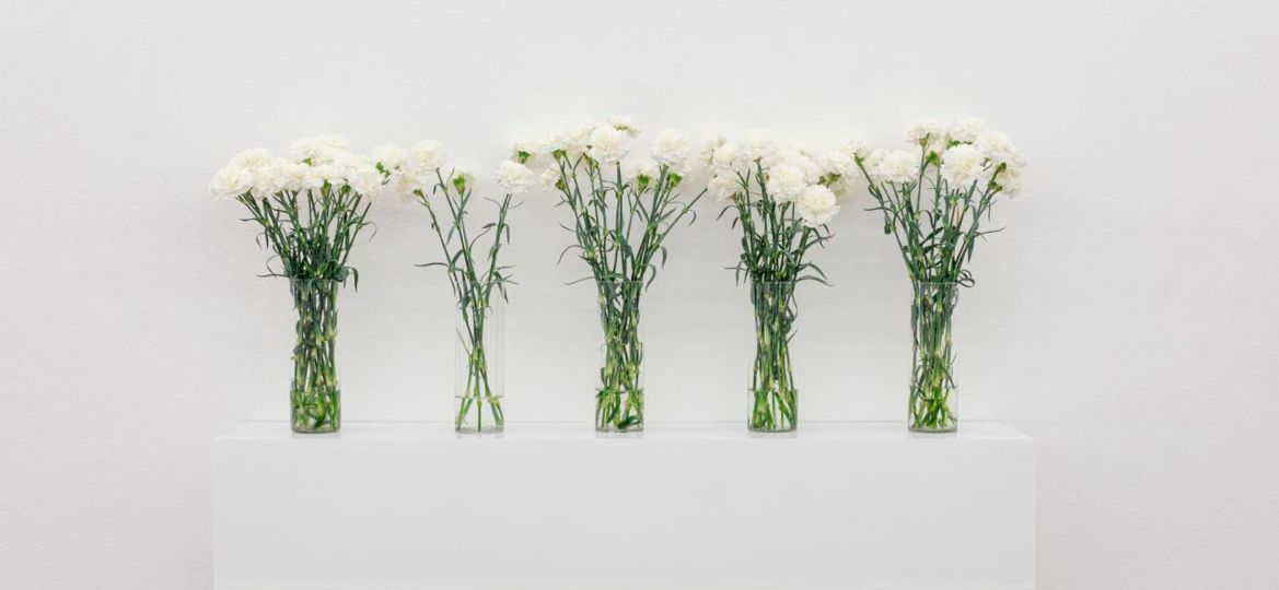 DLexpoVermelho2022PROV-8