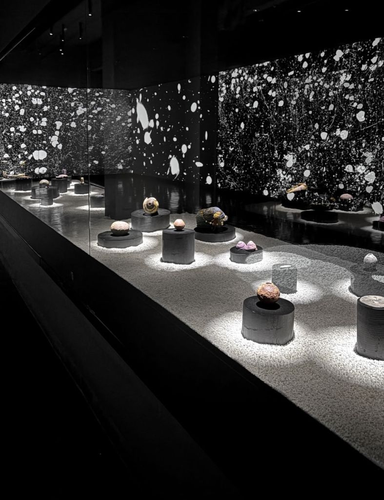 Flowering of Light and Seas of the Moon at Museo de Artes Visuales in Santiago de Chile in dialo (1)