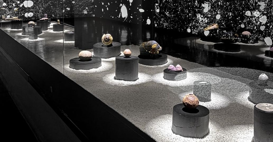 Flowering of Light and Seas of the Moon at Museo de Artes Visuales in Santiago de Chile in dialo (1)