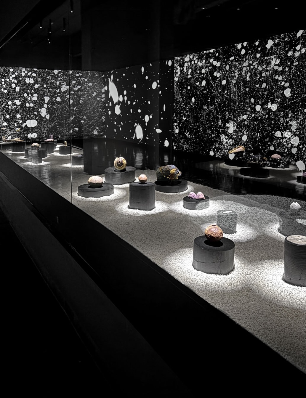 Flowering of Light and Seas of the Moon at Museo de Artes Visuales in Santiago de Chile in dialo (1)