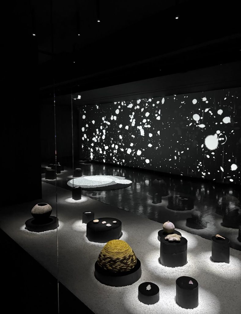 Flowering of Light and Seas of the Moon at Museo de Artes Visuales in Santiago de Chile in dialo (2)