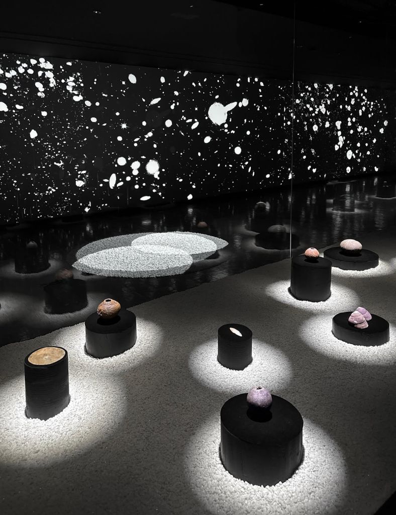 Flowering of Light and Seas of the Moon at Museo de Artes Visuales in Santiago de Chile in dialo